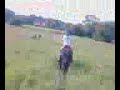 babe gallopin :L