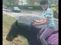 babe gallopin :L