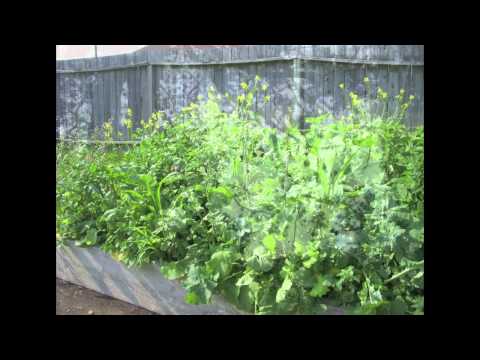 how to grow practically everything