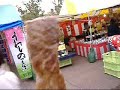 With subtitles,HANAMI at Banpaku park in SUITA OSAKA