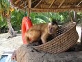 Brazil - Lençois Maranhenses