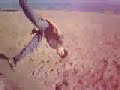 parkour tetouan parkour tetouan