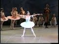 Ballet - Don Quixote!!