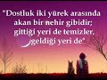 aynur doğan   yoluna yoldaş olam   