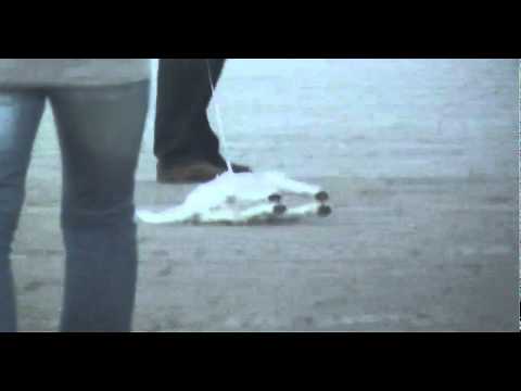 Watch '"Zechł pies" w wersji spacerowej'
