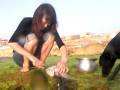 videos de Shai Bandmann (5) and his wife spear fishing Calamari under their house in Jaffa.MP4