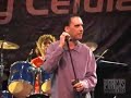 Porcas Borboletas e Arnaldo Antunes