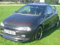 Tigra On Airbags