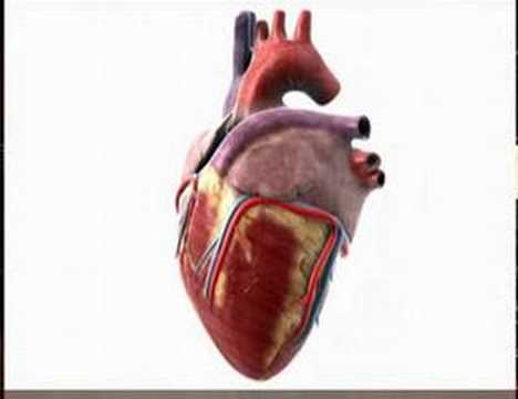 Medicating for High Blood Pressure ...