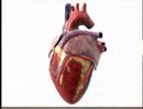 Medicating for High Blood Pressure (HBP #3)