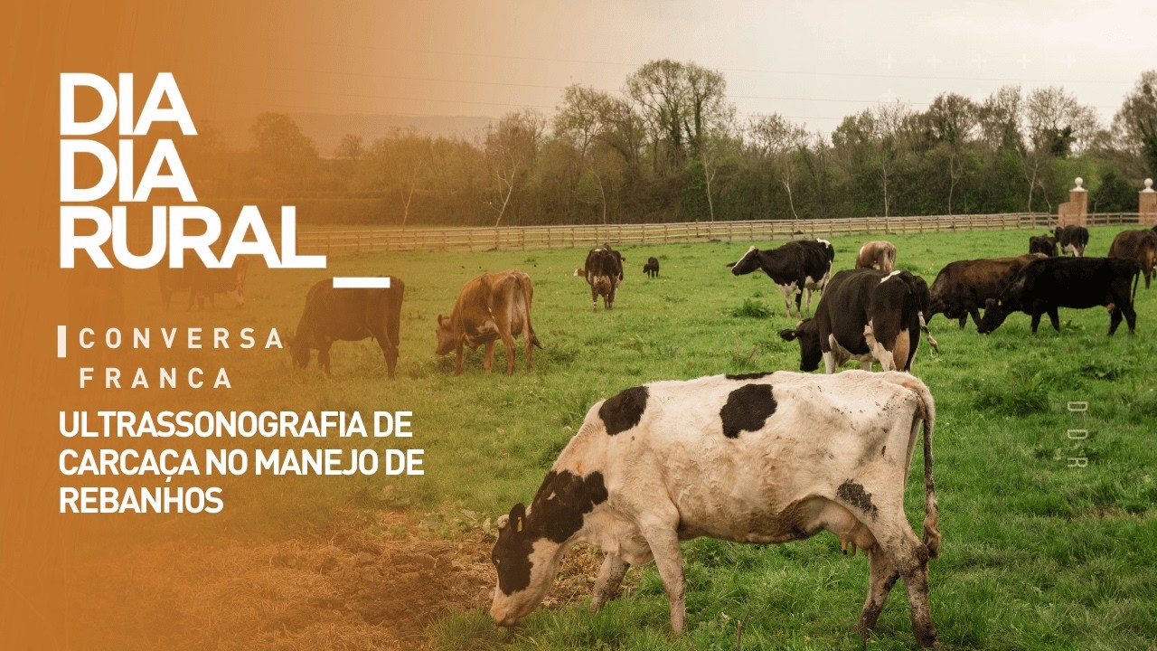 Ultrassonografia de carcaça no manejo de rebanhos