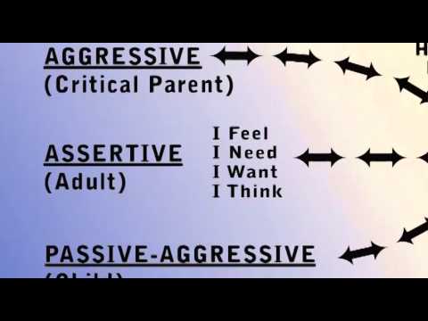 Communication and Assertiveness: Master Communication and Assertiveness Skills Training (DVD)