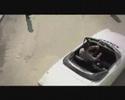 Giulia feat. Marius- Rain