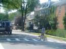 dog-town-star-2.html