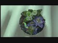 Nail Art - ACRYLIC RING DESIGN - YsNailS DUAL SYSTEM FORMS+plus Nail Art - ACRYLIC RING DESIGN - YsNailS DUAL SYSTEM FORMS+plus