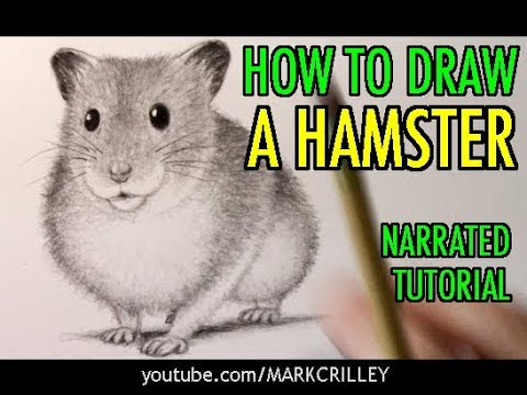 video-linktoworks-How to Draw a Hamster [Animal Tutorial #15]