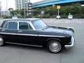 crown eight (VG10)