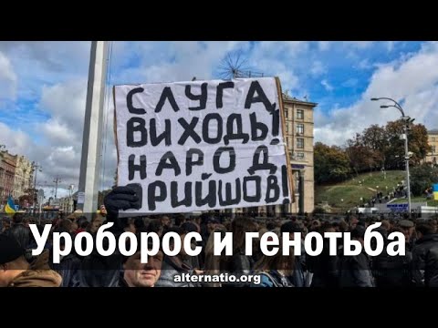 YouTube видео