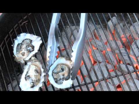 barbecue weber video