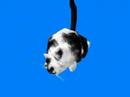 3D-Kater