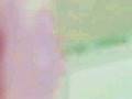 videos de 'Sublime' / Sunspot Revolution