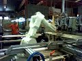 robot iris robotica