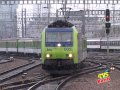 Treno a Vapore Luino Zurigo 18 dicembre 2011 Verbano Express BR50 - Anteprima def.mpg