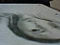 me drawing