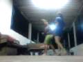 videos de TDWP dogs can doidos dublando