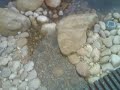 HOW TO BUILD A POND OR TWO HOW TO BUILD A POND OR TWO