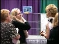 Cat Show Gone Wrong Cat Show Gone Wrong