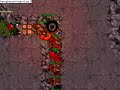 Taifun Devilry Dead