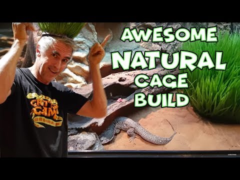 YouTube reptile video