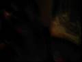 Breaking Dawn Review part 3