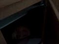Theres a chubacca in my cabnet!!!!!!!