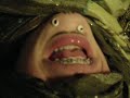 Drole Drole - JipéJipé