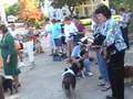videos de Blessing of the Animals in Tupelo, Miss. '08