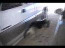 life on farm 05 03 08