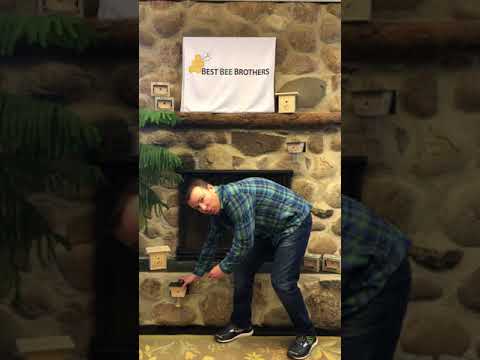 image preview of video showcasing How to Save Your Home from Carpenter Bees