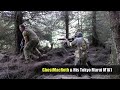 Watch 'M1A1 AKS74U TANAKA KAR98 AIRSOFT FOREST WARFARE SCOTLAND'