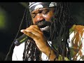 tony rebel - the herb