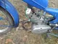 Komar motor Siwy niebieska strzala xD = POLEWKA XD