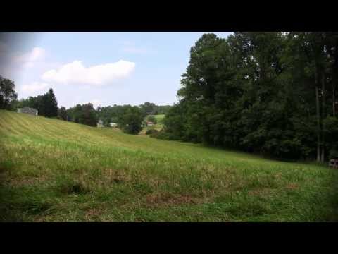 how to fertilize brassicas