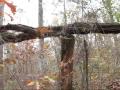 Pine Mountain Trail MP-11 to MP-0, Pine Mountain, Georgia - Part 2 of 2