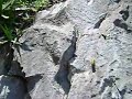 Cerro Mitras8