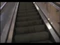 nascars-best-driving-coach-funny.html