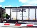 My 100*th Video!!! Mon Valley Series pt.4 A NS Tribute
