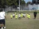 santos campeon santos campeon