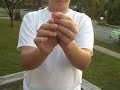 The Card Rip Trick