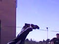 caio d ipef caio d ipef
